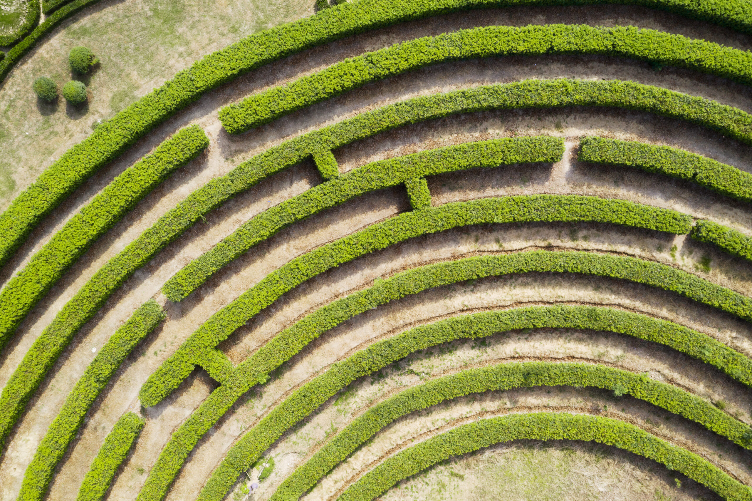 Aerial view of circular, green maze garden